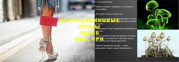 гидропоника Кулебаки