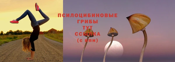 гидропоника Кулебаки
