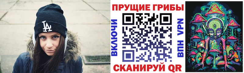 Купить  Инза  Псилоцибиновые грибы GOLDEN TEACHER 