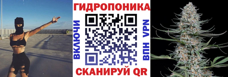Купить где  Инза  МАРИХУАНА сатива 